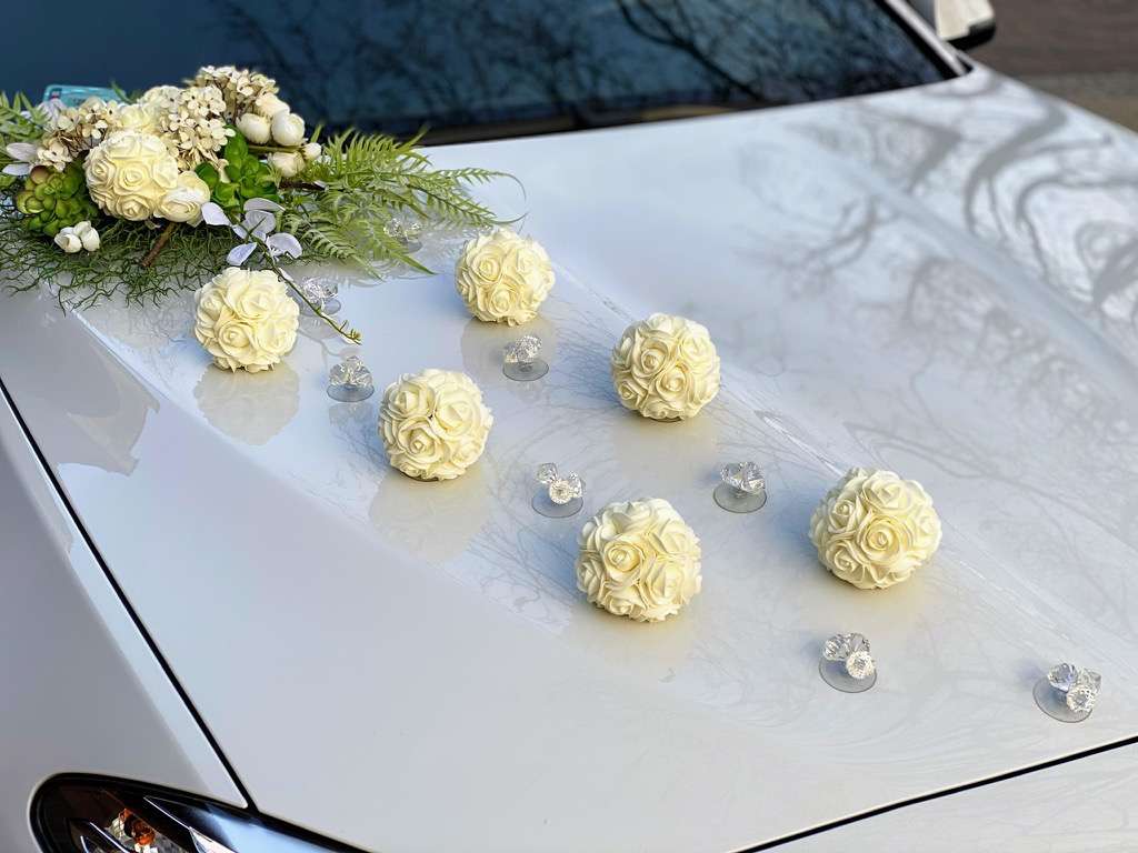 placeholder image-sq