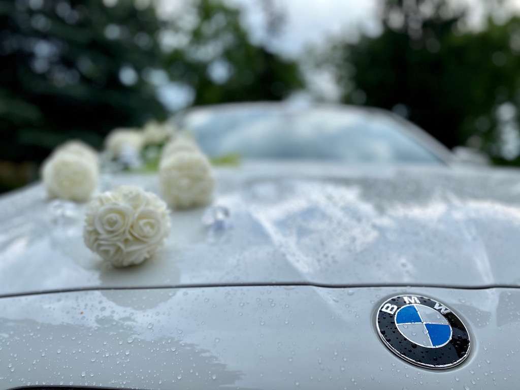 placeholder image-sq