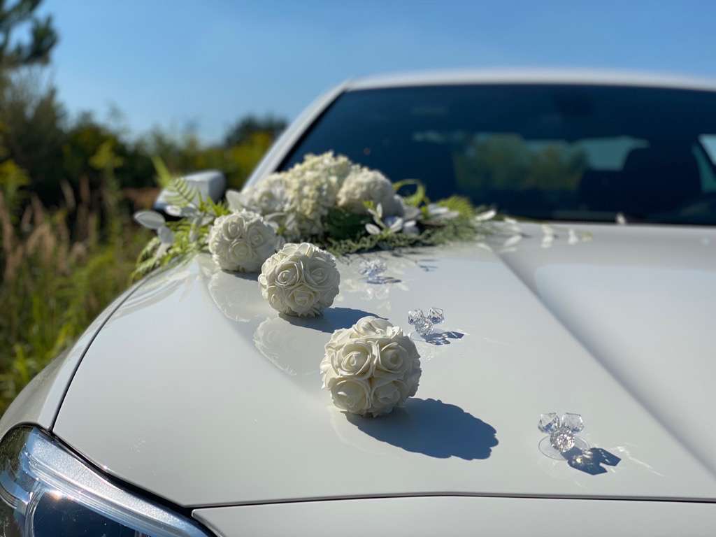 placeholder image-sq