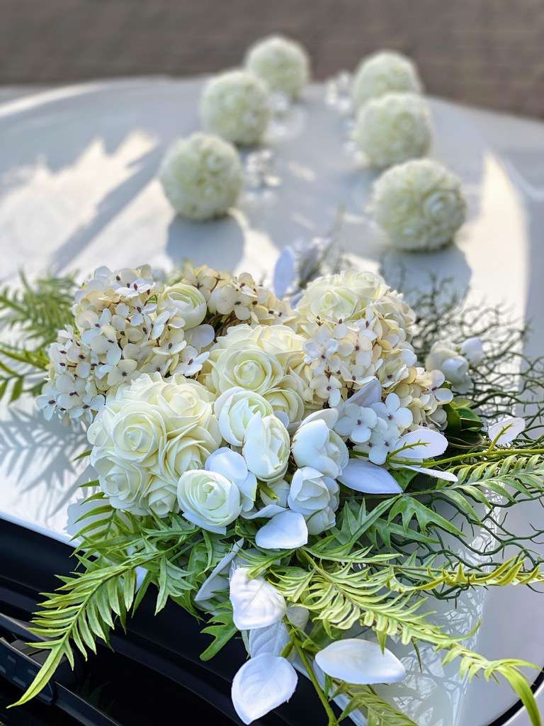 placeholder image-sq