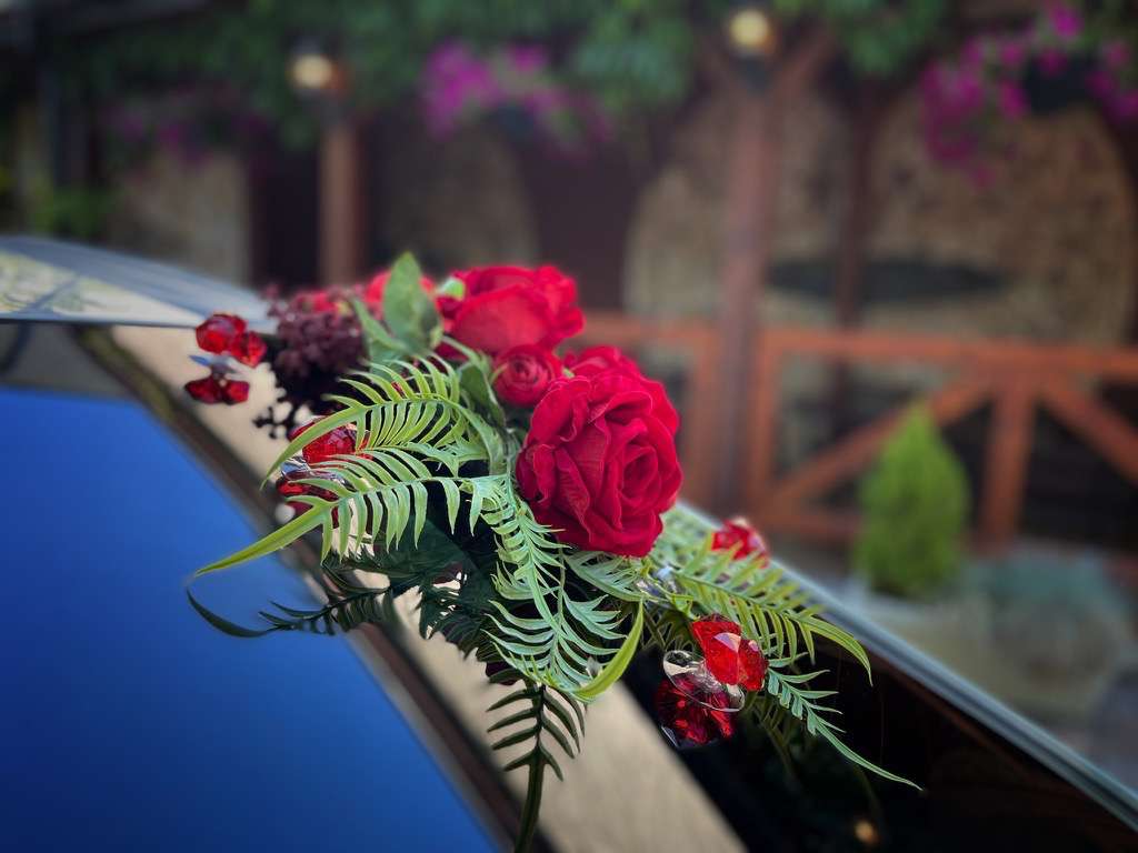 placeholder image-sq