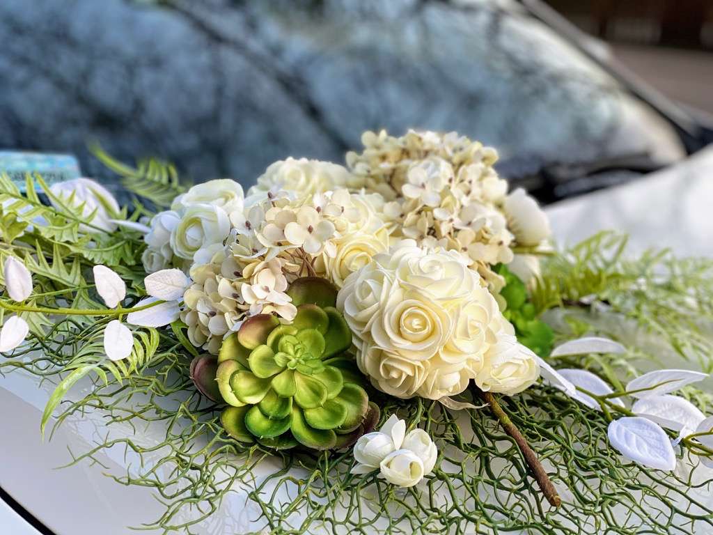 placeholder image-sq