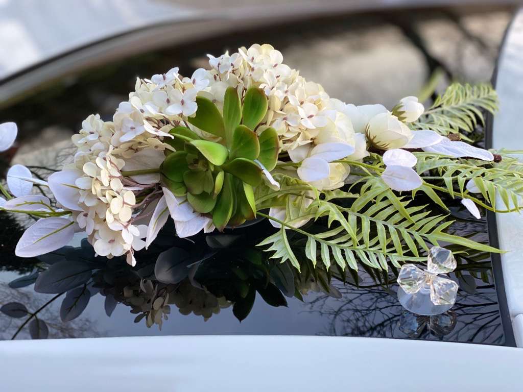 placeholder image-sq