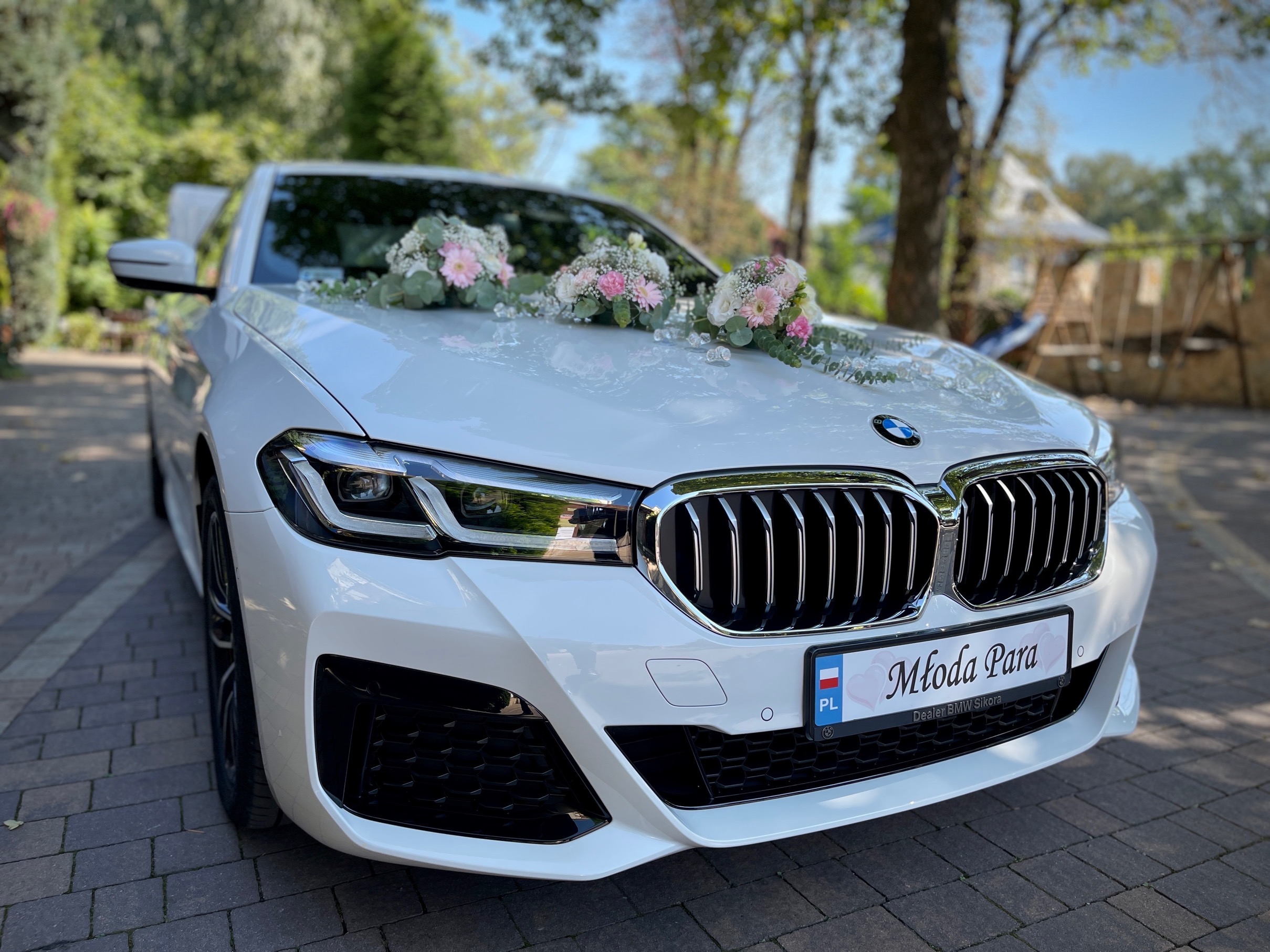 1ABA05ED 063D-4DAA-869A-A5A6506F55B3-squashed